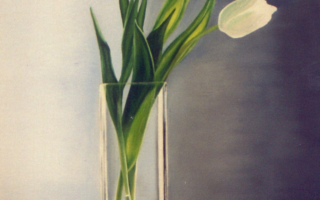 Tulipanes